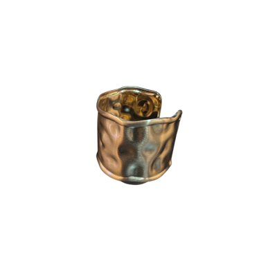 AROS-BIJU-1-2.png