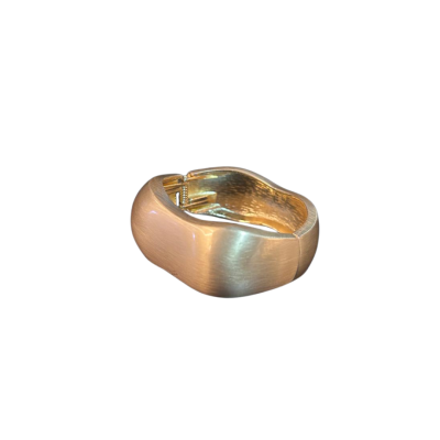AROS-BIJU-1-3.png