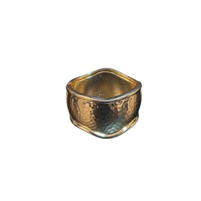 AROS-BIJU-3-2.png