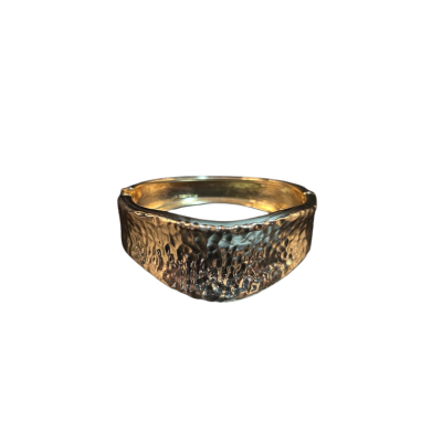 AROS-BIJU-7-2.png